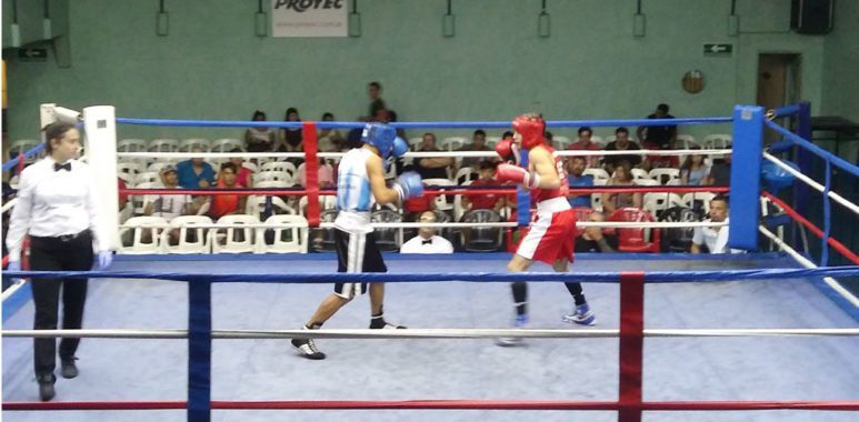 Boxeo Racing invicto en la FAB - La Comu de Racing Club